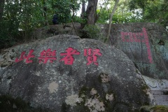 D044847
