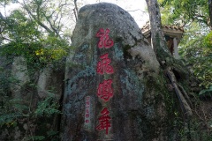D044853
