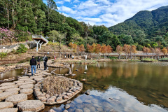 Pingshan, Shenzhen, Toupi Park, 坪山, 头陂公园