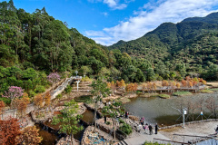 Pingshan, Shenzhen, Toupi Park, 坪山, 头陂公园