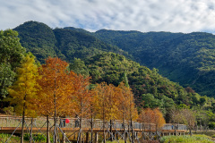 Pingshan, Shenzhen, Toupi Park, 坪山, 头陂公园