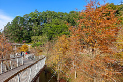 Pingshan, Shenzhen, Toupi Park, 坪山, 头陂公园