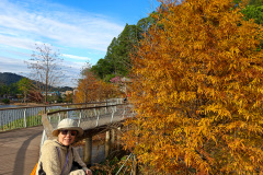 Pingshan, Shenzhen, Toupi Park, 坪山, 头陂公园