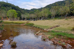 Pingshan, Shenzhen, Toupi Park, 坪山, 头陂公园