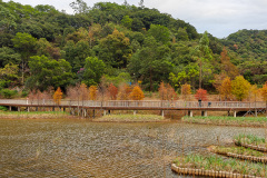 Pingshan, Shenzhen, Toupi Park, 坪山, 头陂公园
