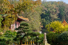 Guifeng Mountain National Forest Park, Jiangmen, Xinhui, 圭峰山国家森林公园, 新会, 江门