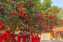 Guifeng Mountain National Forest Park, Jiangmen, Xinhui, 圭峰山国家森林公园, 新会, 江门