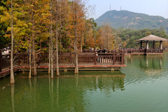 Cascade Park, Jiangmen, Xinhui, 新会, 江门, 石澗公園