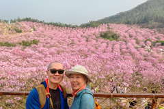 Green Beauty Ecological Park, Jiangmen, Xinhui, 新会, 江门, 綠美生態園