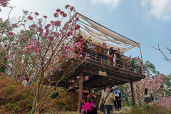 Green Beauty Ecological Park, Jiangmen, Xinhui, 新会, 江门, 綠美生態園