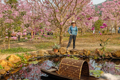 Green Beauty Ecological Park, Jiangmen, Xinhui, 新会, 江门, 綠美生態園