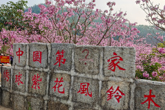 Green Beauty Ecological Park, Jiangmen, Xinhui, 新会, 江门, 綠美生態園