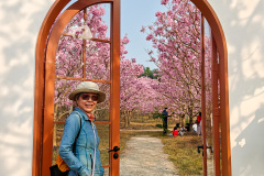 Green Beauty Ecological Park, Jiangmen, Xinhui, 新会, 江门, 綠美生態園