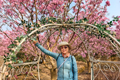Green Beauty Ecological Park, Jiangmen, Xinhui, 新会, 江门, 綠美生態園