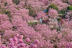 Green Beauty Ecological Park, Jiangmen, Xinhui, 新会, 江门, 綠美生態園