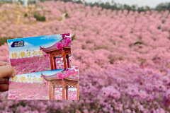 Green Beauty Ecological Park, Jiangmen, Xinhui, 新会, 江门, 綠美生態園