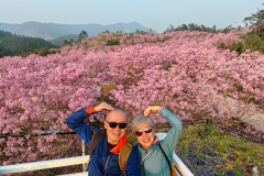Green Beauty Ecological Park, Jiangmen, Xinhui, 新会, 江门, 綠美生態園