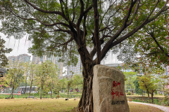 Asia Arts Park, Foshan, 亚洲艺术公园