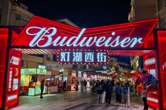 Denghu West Street Night Market, Foshan, Qiandenghu Park, 千灯湖公园, 灯湖西街夜市