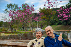 Pingshan, Shenzhen, Toupi Park, 坪山, 头陂公园