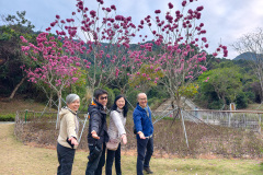 Pingshan, Shenzhen, Toupi Park, 坪山, 头陂公园