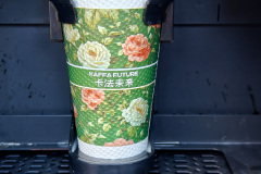 Pingshan, Shenzhen, Toupi Park, 坪山, 头陂公园