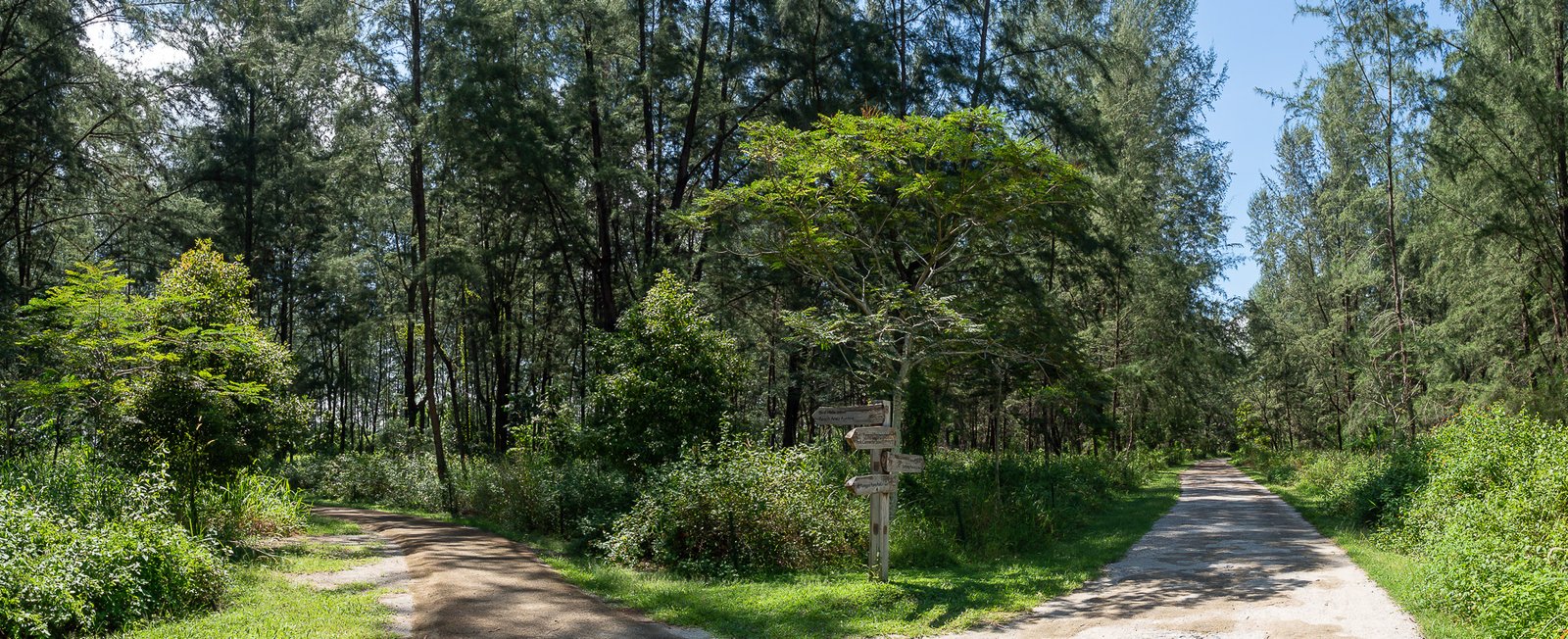 D143569-Pano