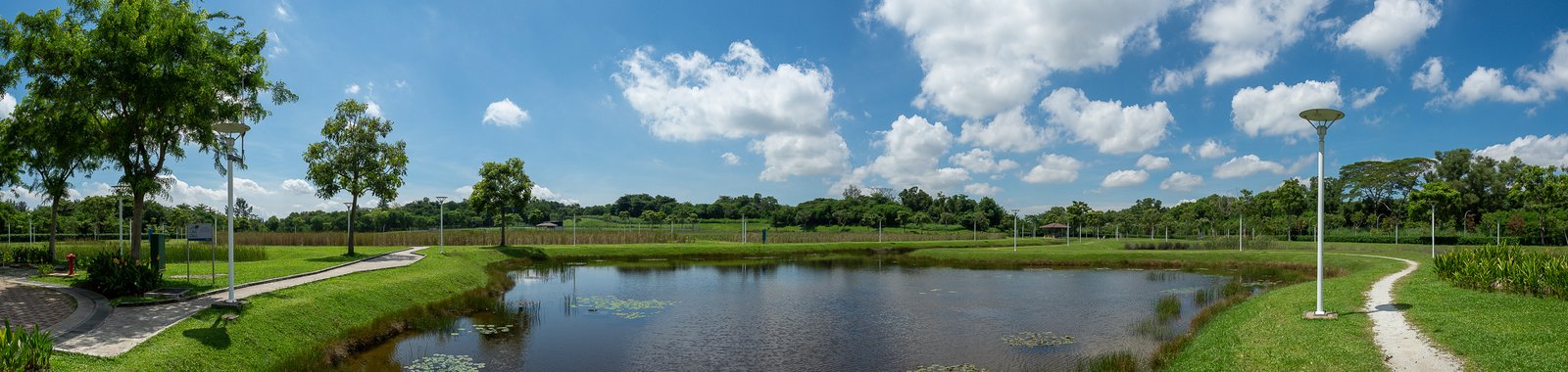D143575-Pano