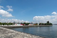 D143565