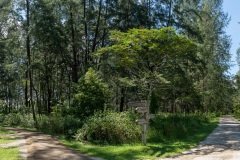 D143569-Pano