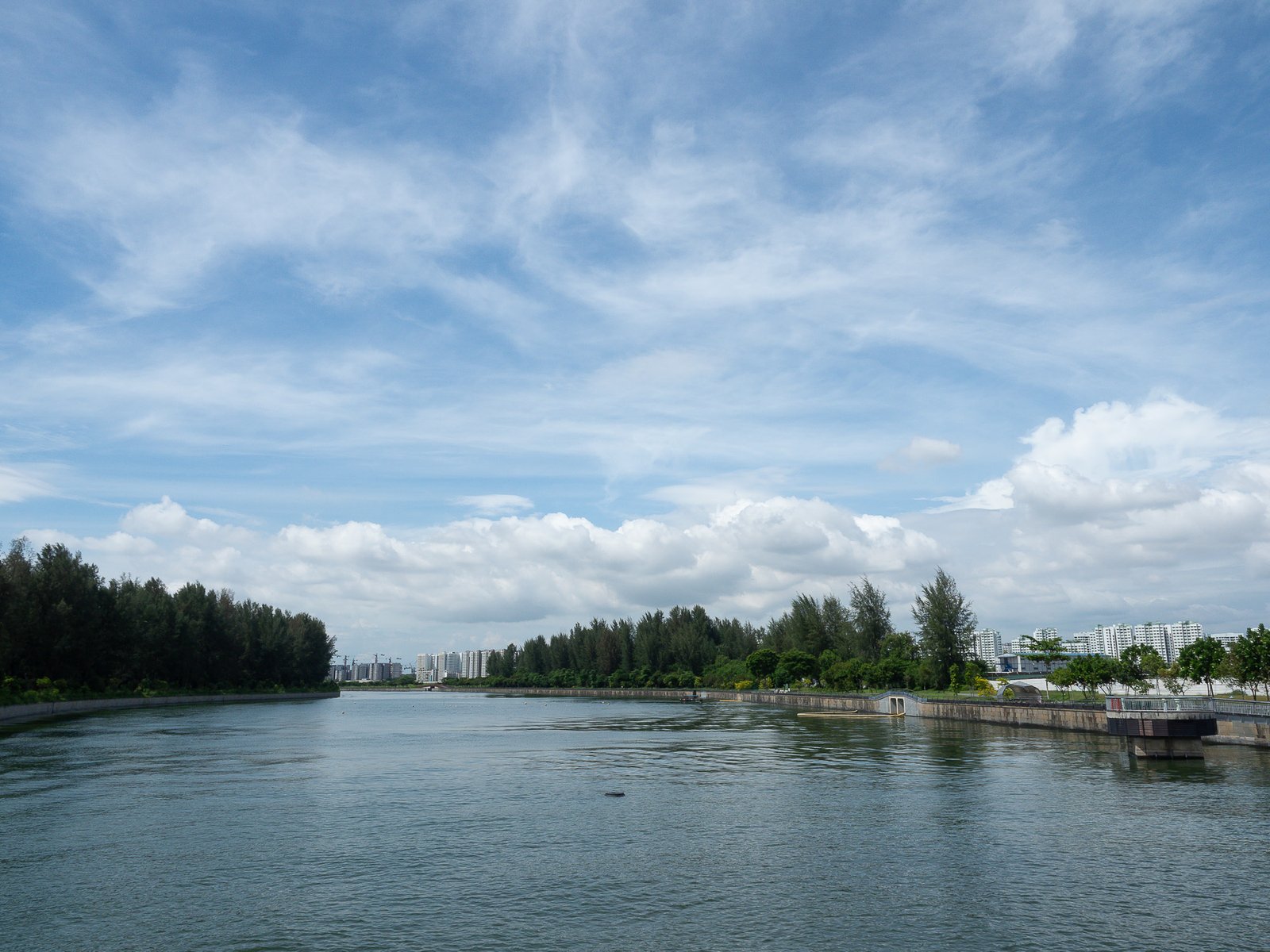 D293501