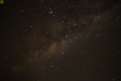 D014006-Edit