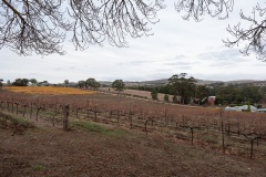 D024086