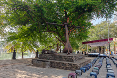 Admiral Anchor