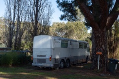 D013945