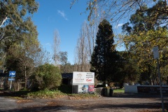 D013956