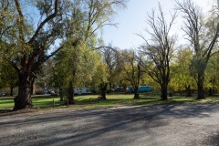 D013958