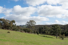 D013963