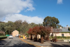 D013972
