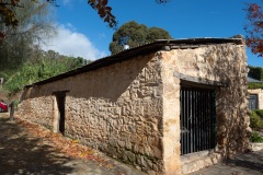 D013975