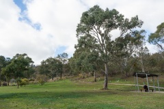D013980