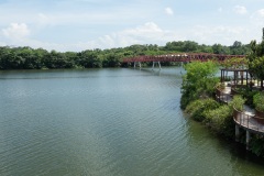 D124726