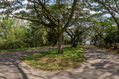 B024246-Pano
