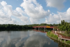 B246070