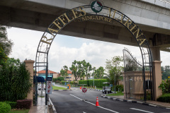 D253475