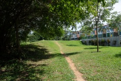 D274567