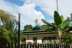 D274568