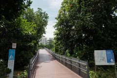 B033995