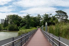 B034023-Pano