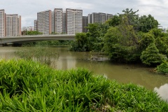 B034030-Pano